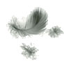 Auping.nl